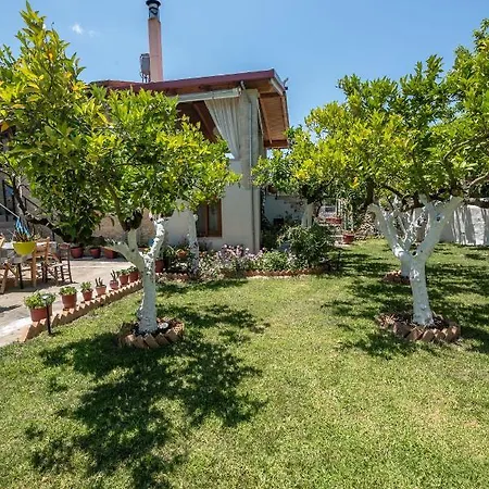Anthea Cottage Kaloudhiana Exterior photo